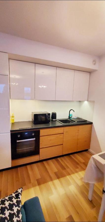 Dworska Studio Apartment Krakow Luaran gambar